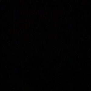 Meet your Posher, Trachell